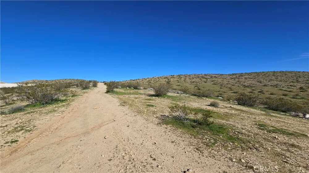 Near United St & Barrington Ave Rosamond, CA 93560