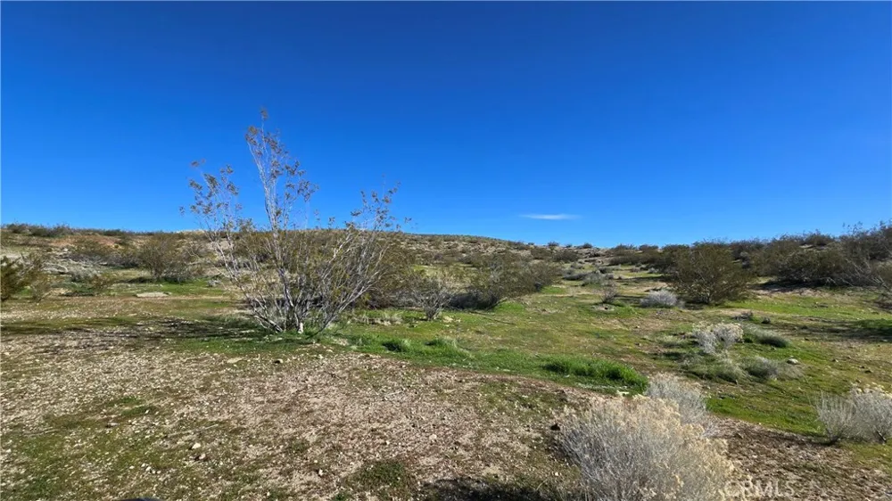 Near United St & Barrington Ave Rosamond, CA 93560