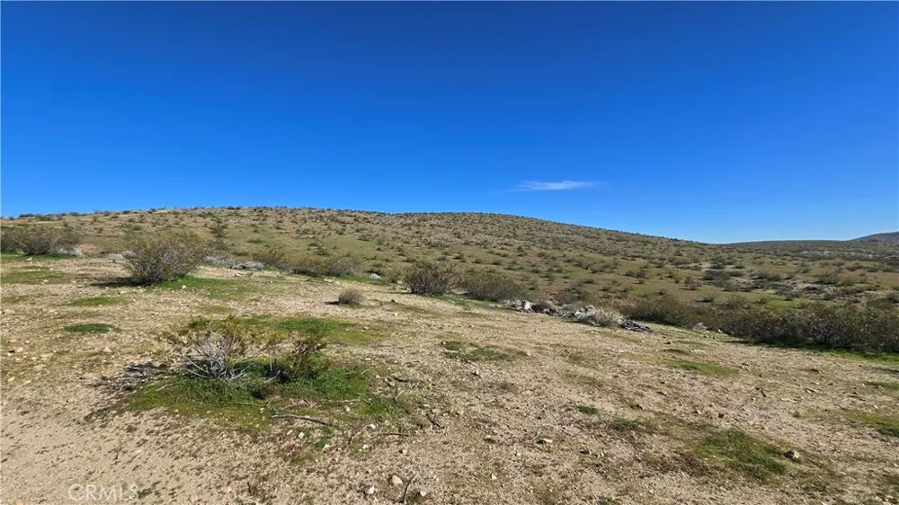 Near United St & Barrington Ave Rosamond, CA 93560