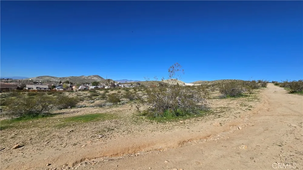 Near United St & Barrington Ave Rosamond, CA 93560