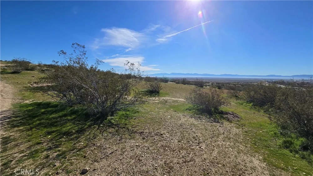 Near United St & Barrington Ave Rosamond, CA 93560