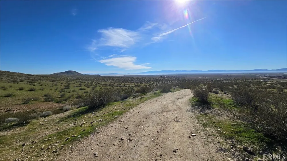 Near United St & Barrington Ave Rosamond, CA 93560
