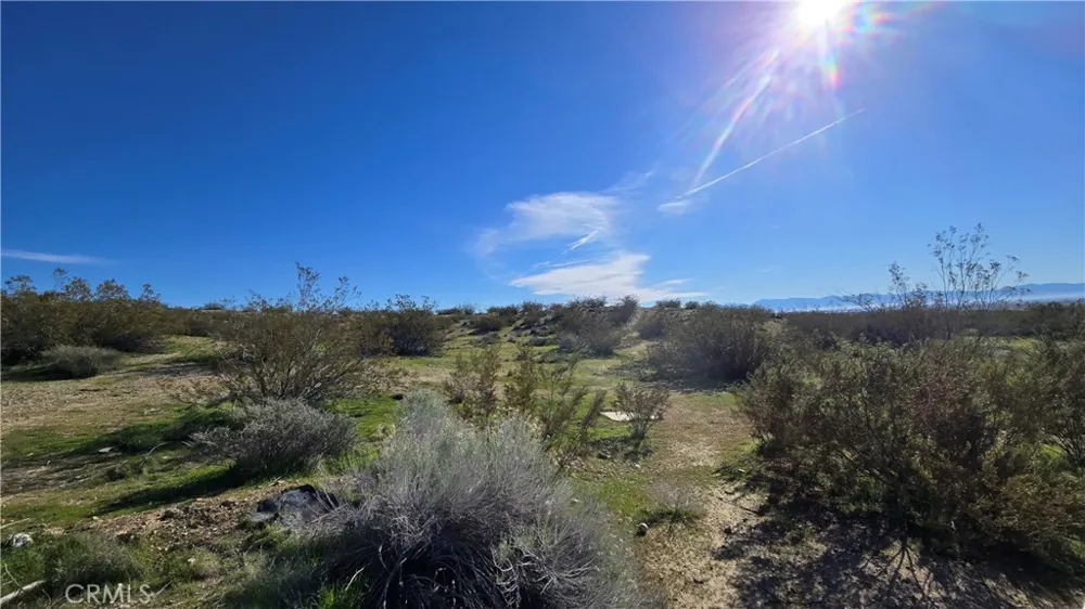 Near United St & Barrington Ave Rosamond, CA 93560