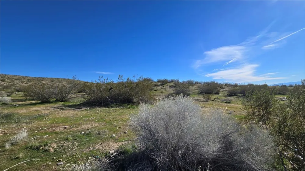 Near United St & Barrington Ave Rosamond, CA 93560
