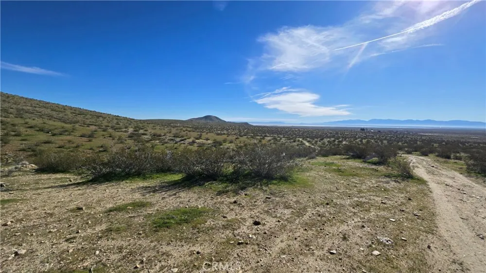 Near United St & Barrington Ave Rosamond, CA 93560