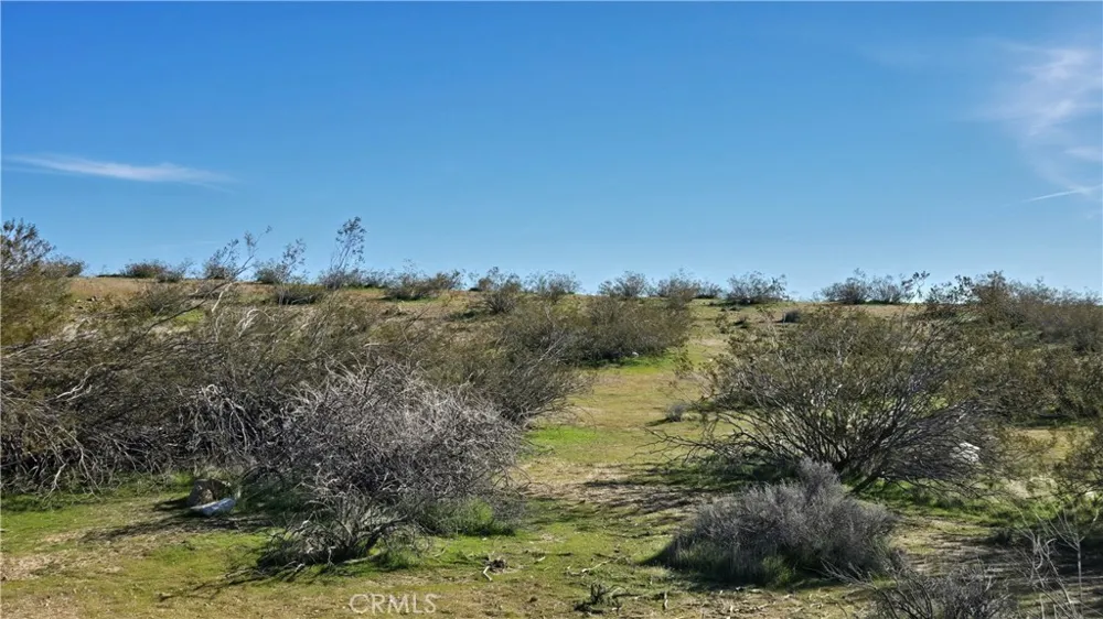 Near United St & Barrington Ave Rosamond, CA 93560