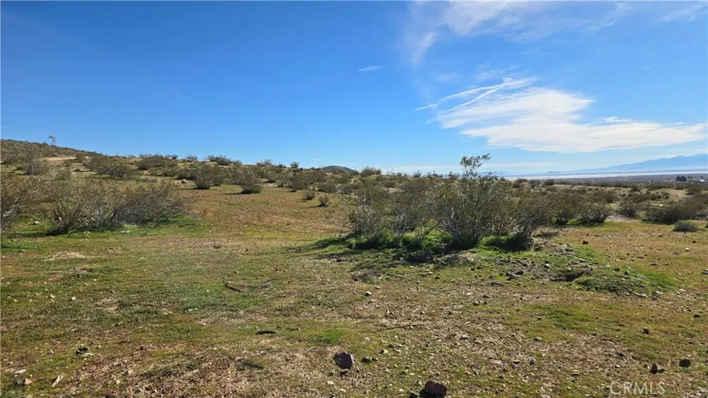 Near United St & Barrington Ave Rosamond, CA 93560