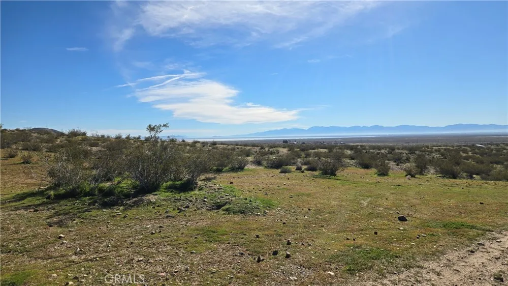 Near United St & Barrington Ave Rosamond, CA 93560