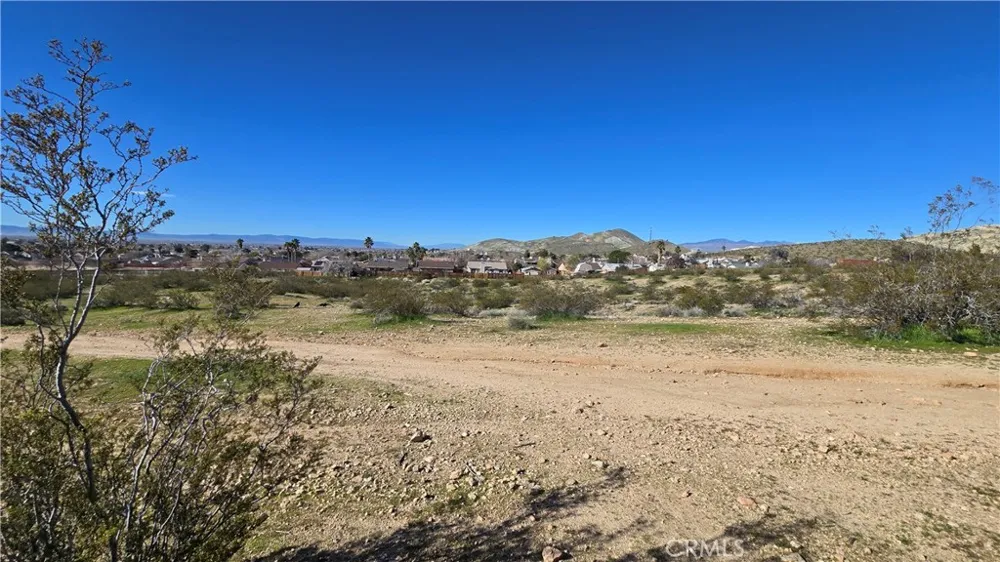 Near United St & Barrington Ave Rosamond, CA 93560
