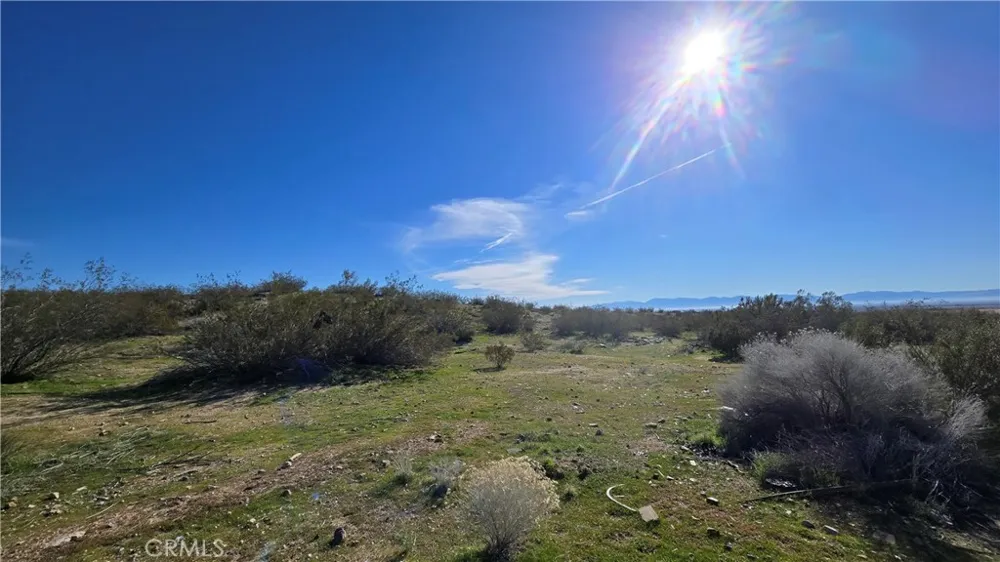 Near United St & Barrington Ave Rosamond, CA 93560