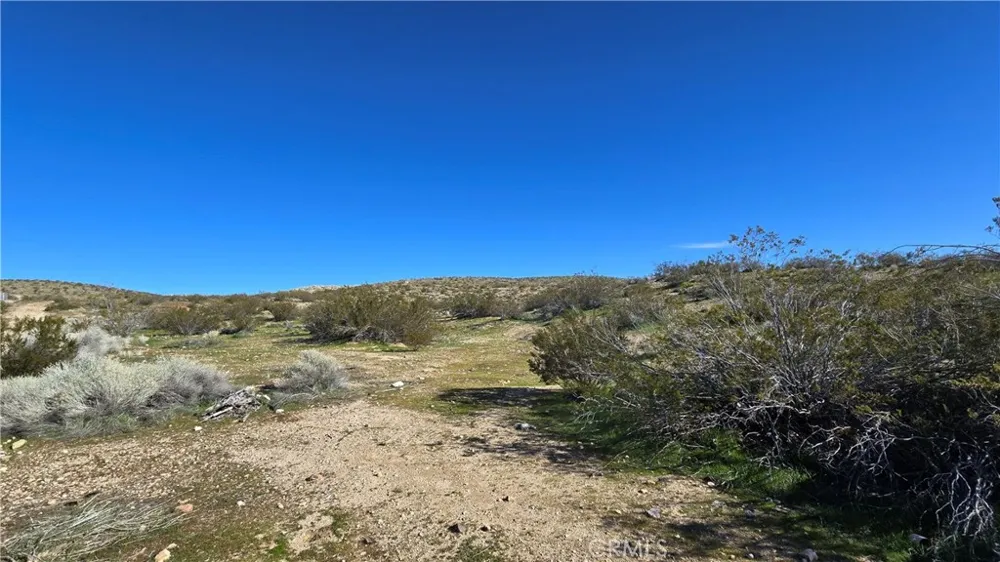 Near United St & Barrington Ave Rosamond, CA 93560