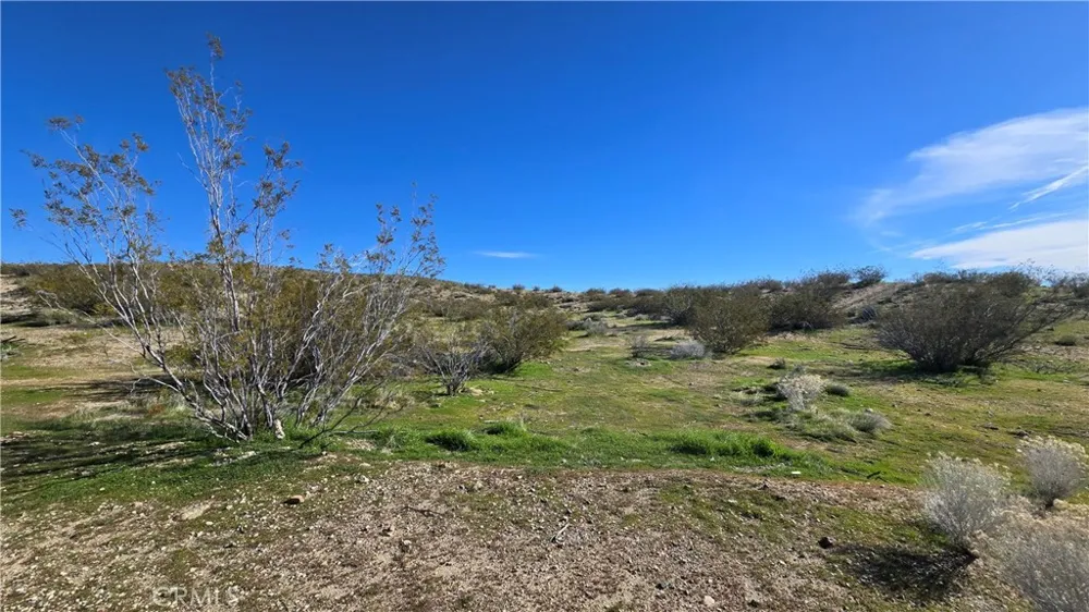 Near United St & Barrington Ave Rosamond, CA 93560