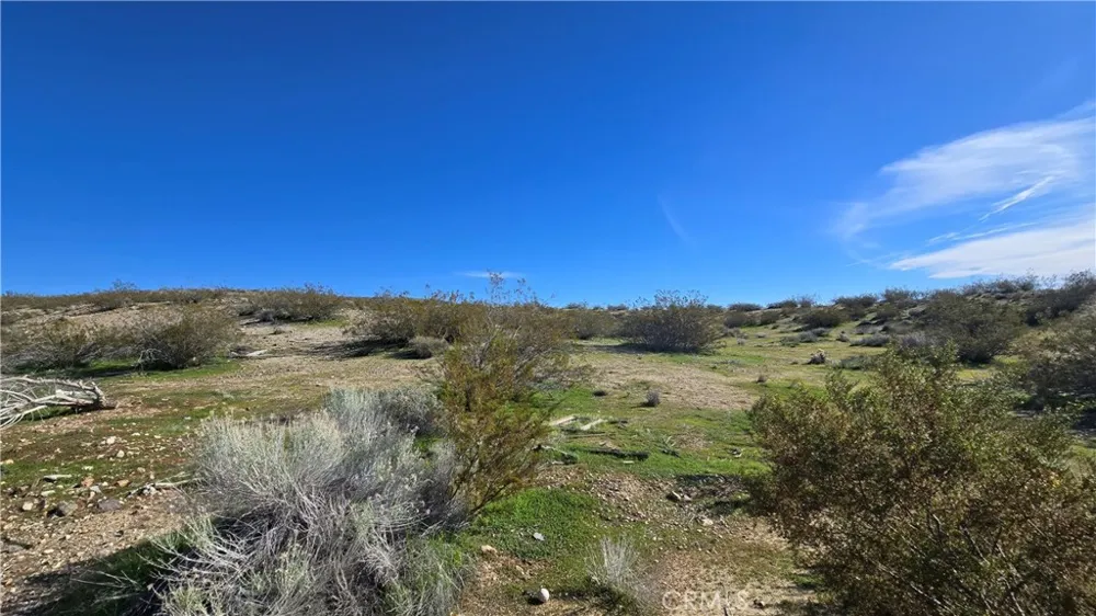 Near United St & Barrington Ave Rosamond, CA 93560