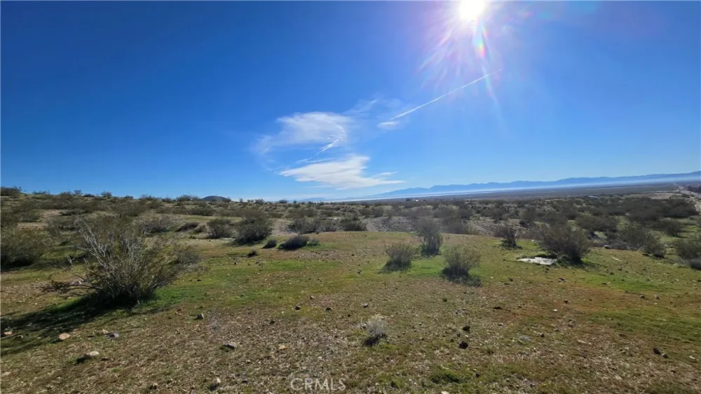 Near United St & Barrington Ave Rosamond, CA 93560