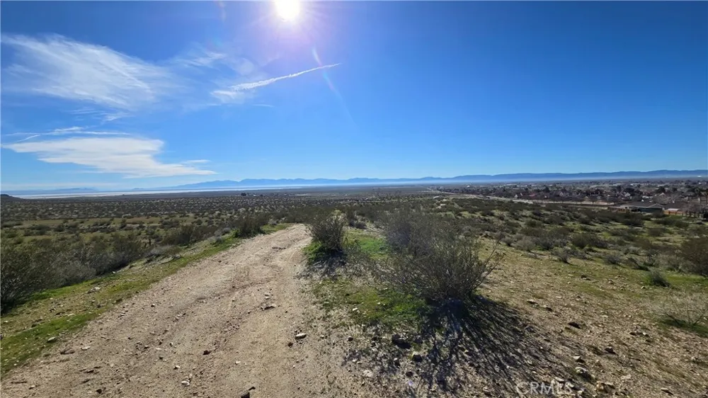Near United St & Barrington Ave Rosamond, CA 93560