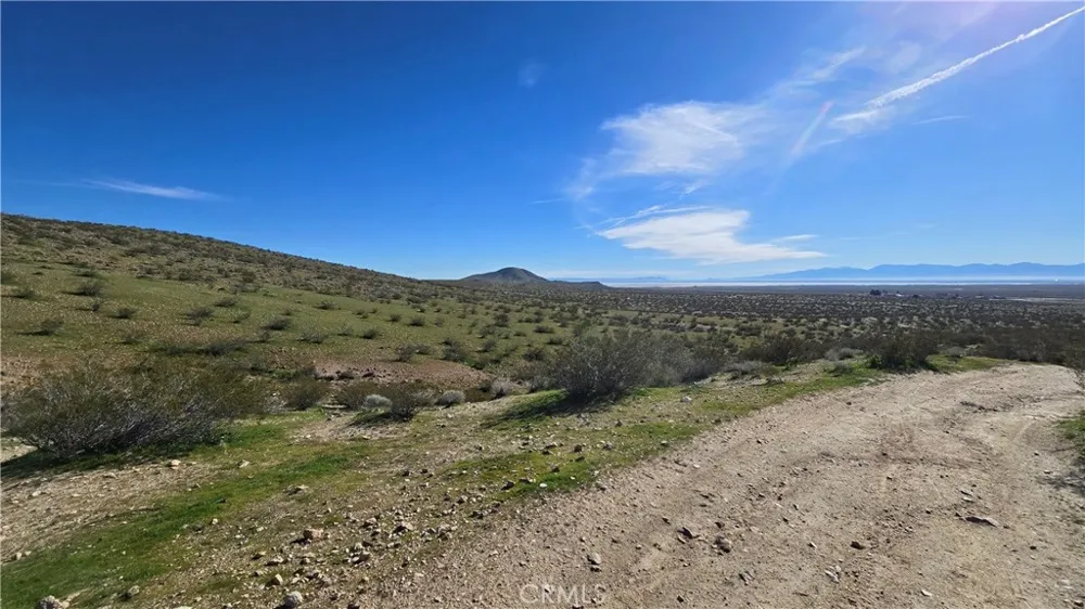 Near United St & Barrington Ave Rosamond, CA 93560