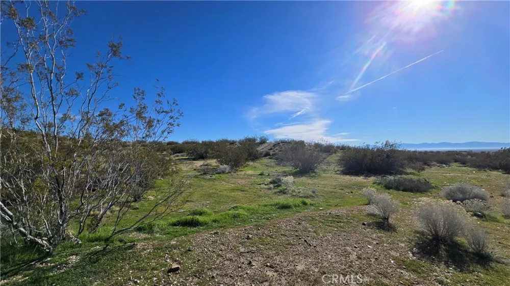 Near United St & Barrington Ave Rosamond, CA 93560