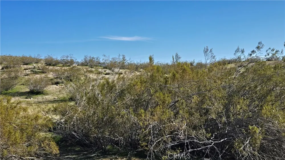 Near United St & Barrington Ave Rosamond, CA 93560