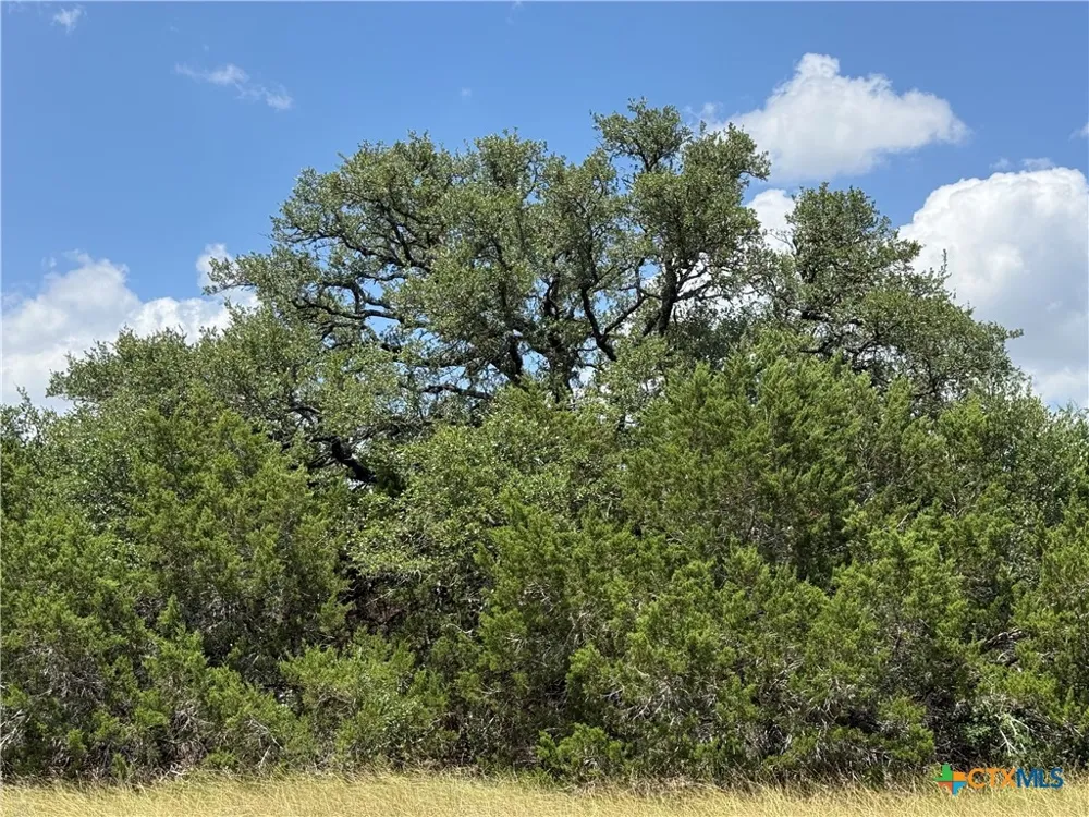 1074 Kenton Parkway Salado, TX 76571