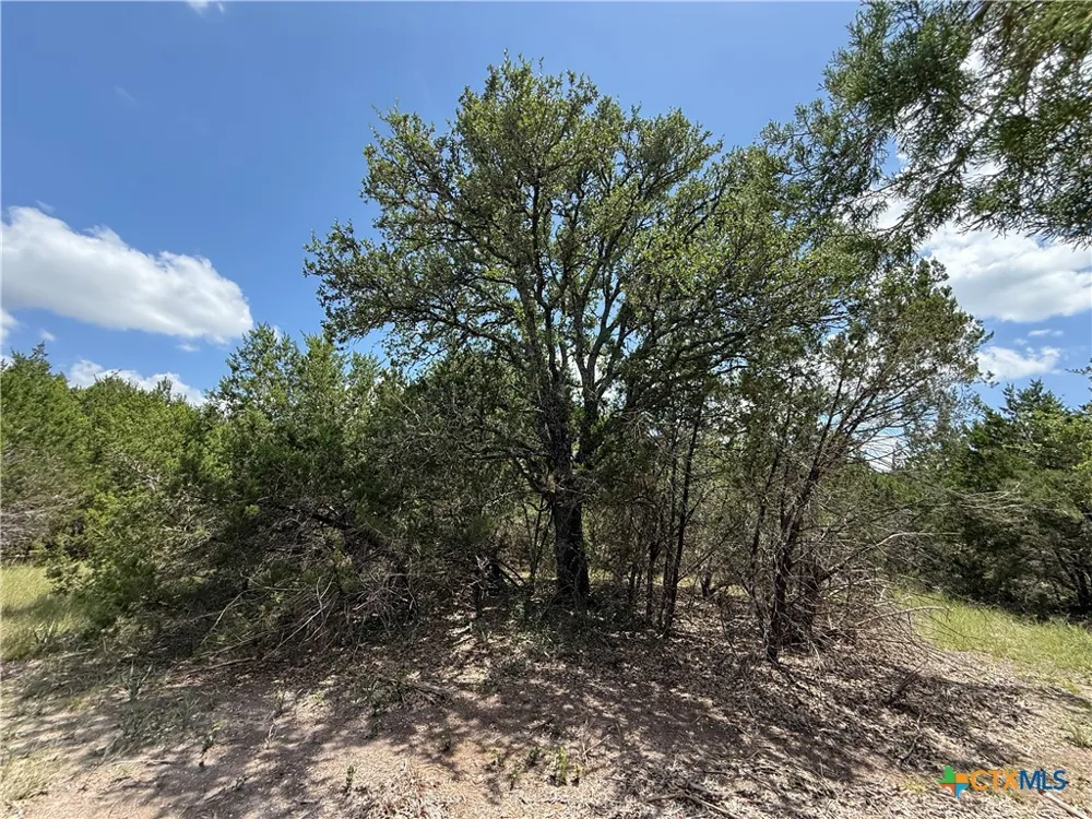 1074 Kenton Parkway Salado, TX 76571