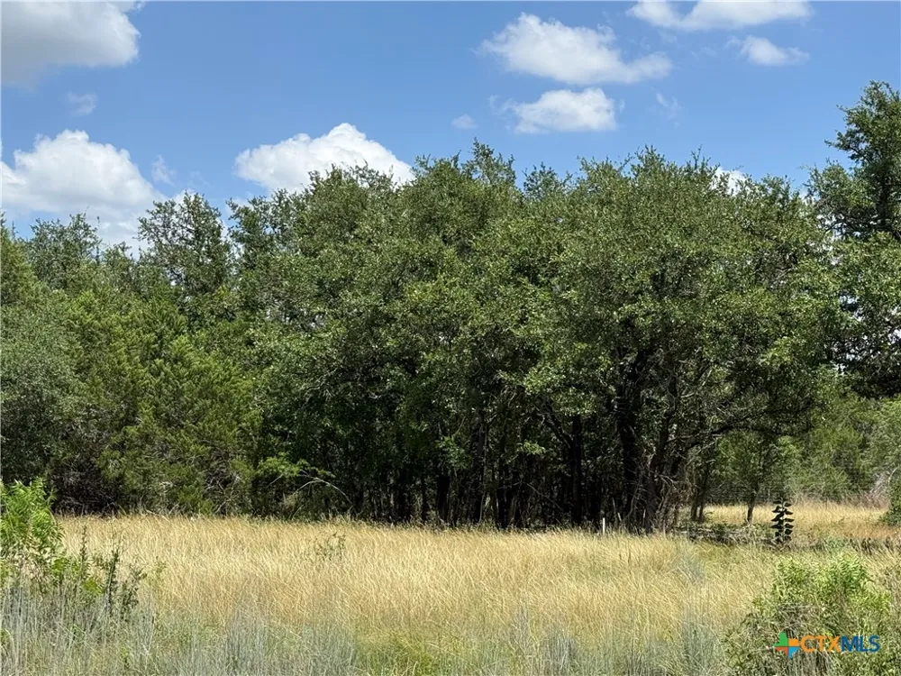 1074 Kenton Parkway Salado, TX 76571