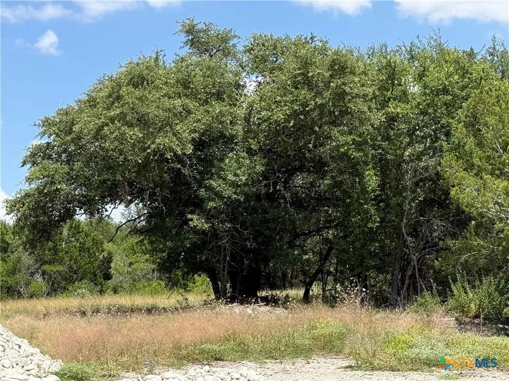 1038 Kenton Parkway Salado, TX 76571