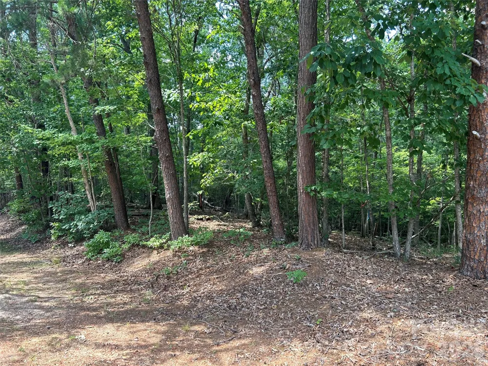 111 Peach Drive #333 Troy, NC 27371