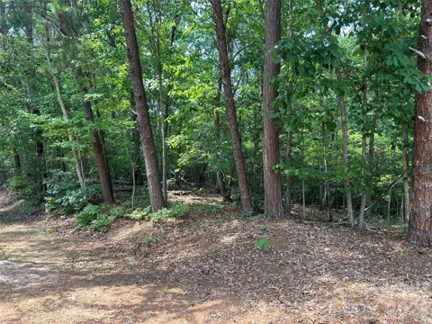111 Peach Drive #333