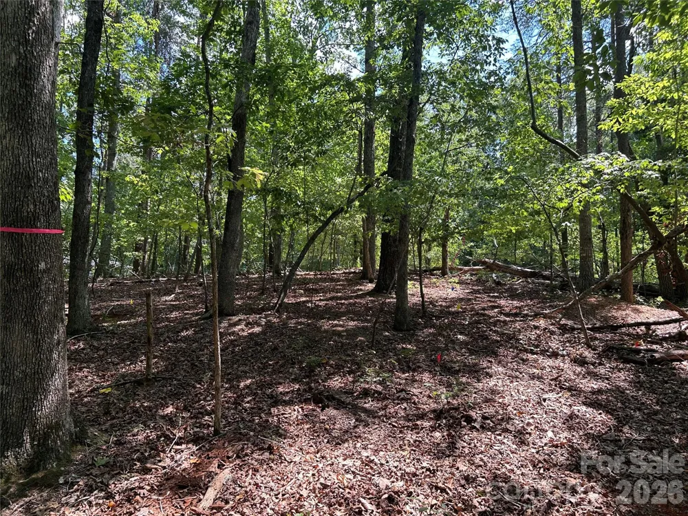 111 Peach Drive #333 Troy, NC 27371