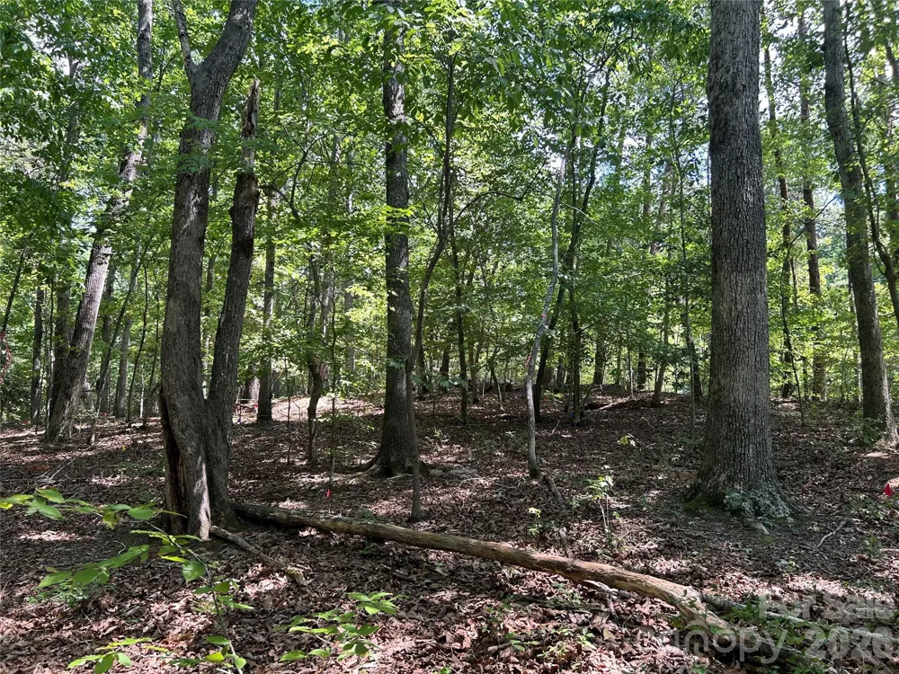 111 Peach Drive #333 Troy, NC 27371