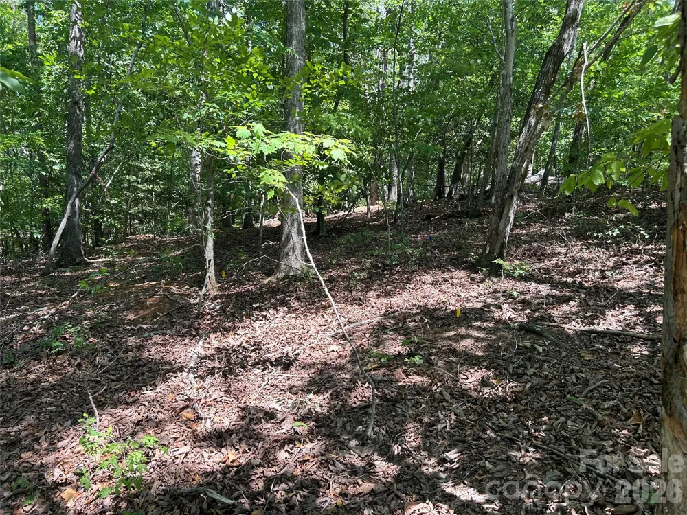111 Peach Drive #333 Troy, NC 27371