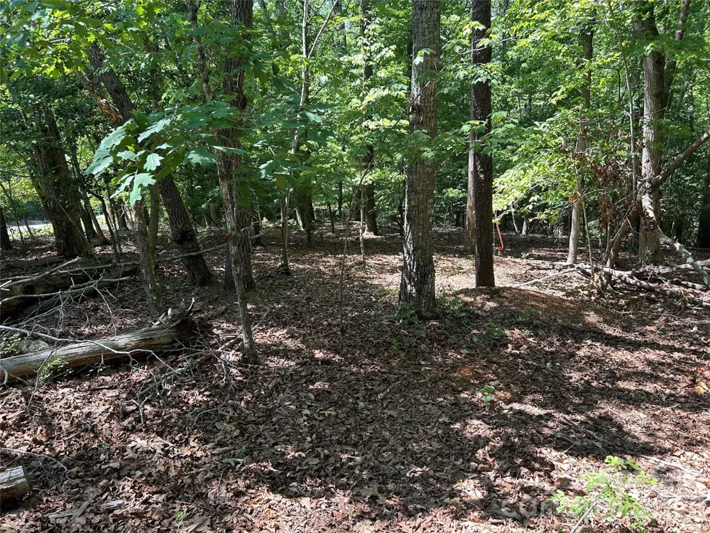 111 Peach Drive #333 Troy, NC 27371
