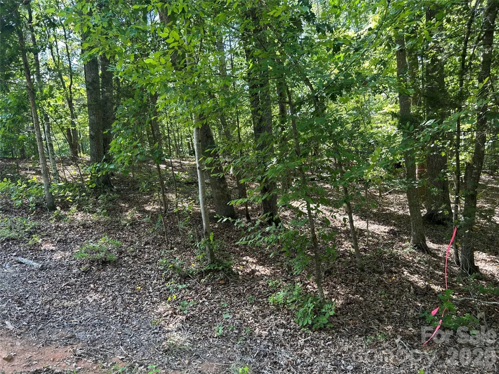 111 Peach Drive #333 Troy, NC 27371