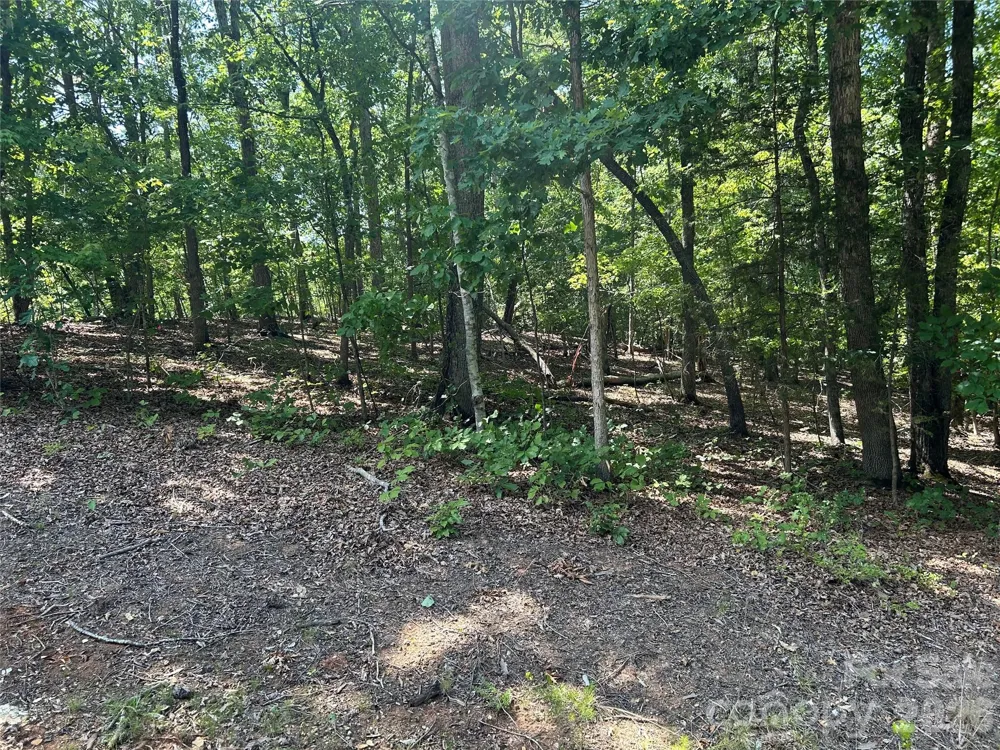 111 Peach Drive #333 Troy, NC 27371