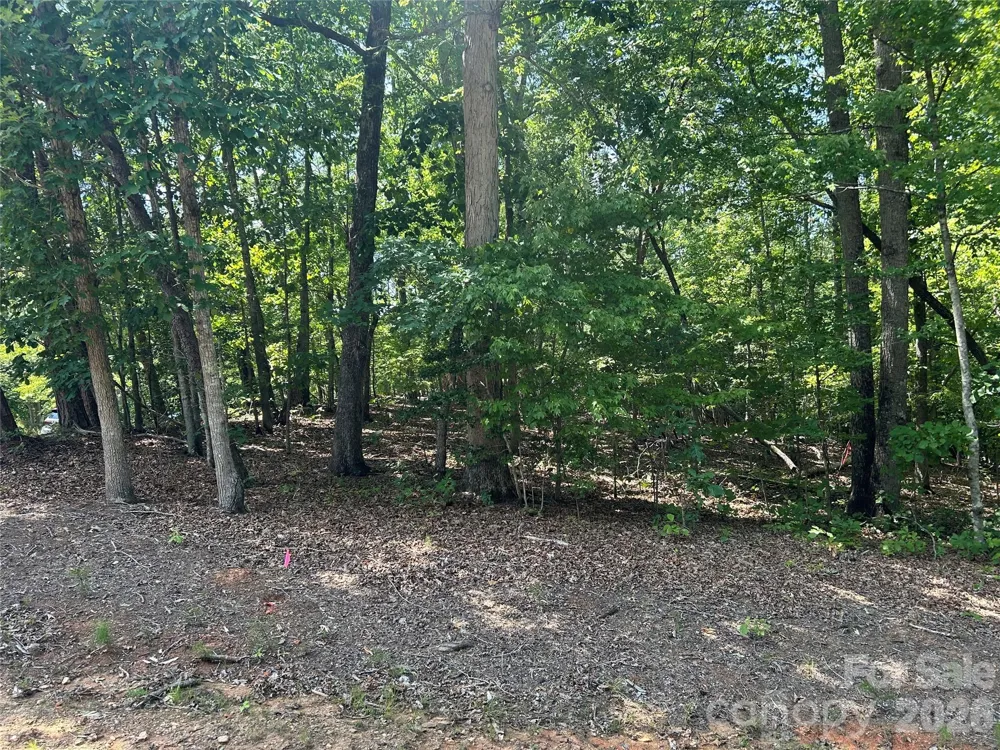 111 Peach Drive #333 Troy, NC 27371