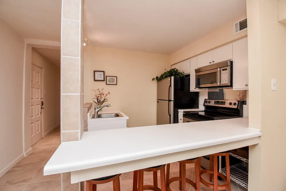 10555 Turtlewood Court #1716 Houston, TX 77072
