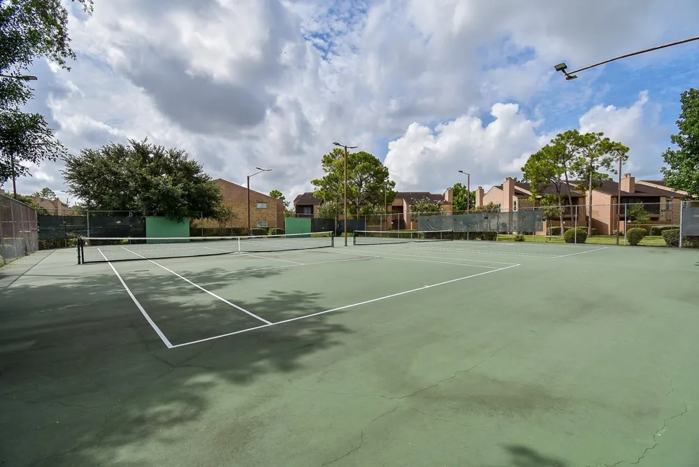 10555 Turtlewood Court #1716 Houston, TX 77072