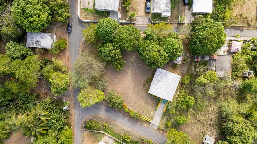14 GOBEO Vieques, PR 00765
