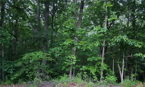 0 Old Mckaskey Creek Road SE