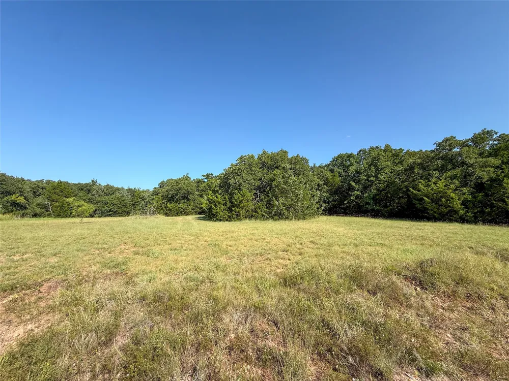 FM 1655 TRAIL Alvord, TX 76225