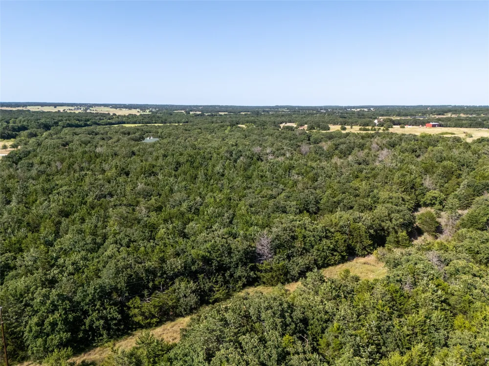 FM 1655 TRAIL Alvord, TX 76225