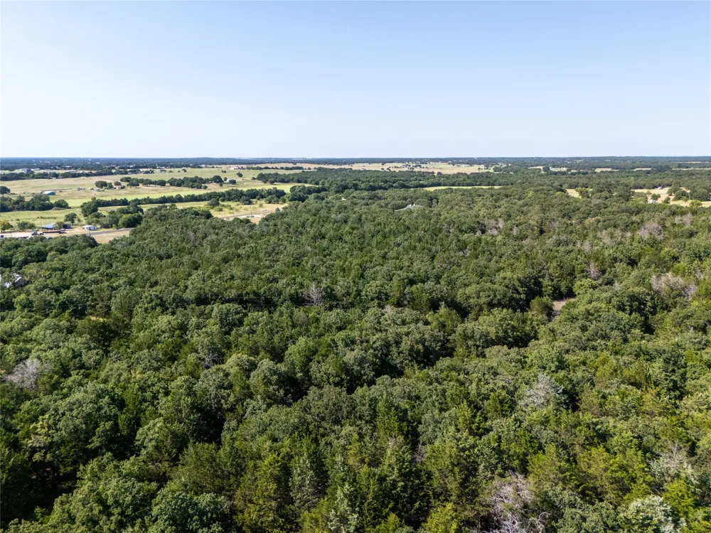 FM 1655 TRAIL Alvord, TX 76225