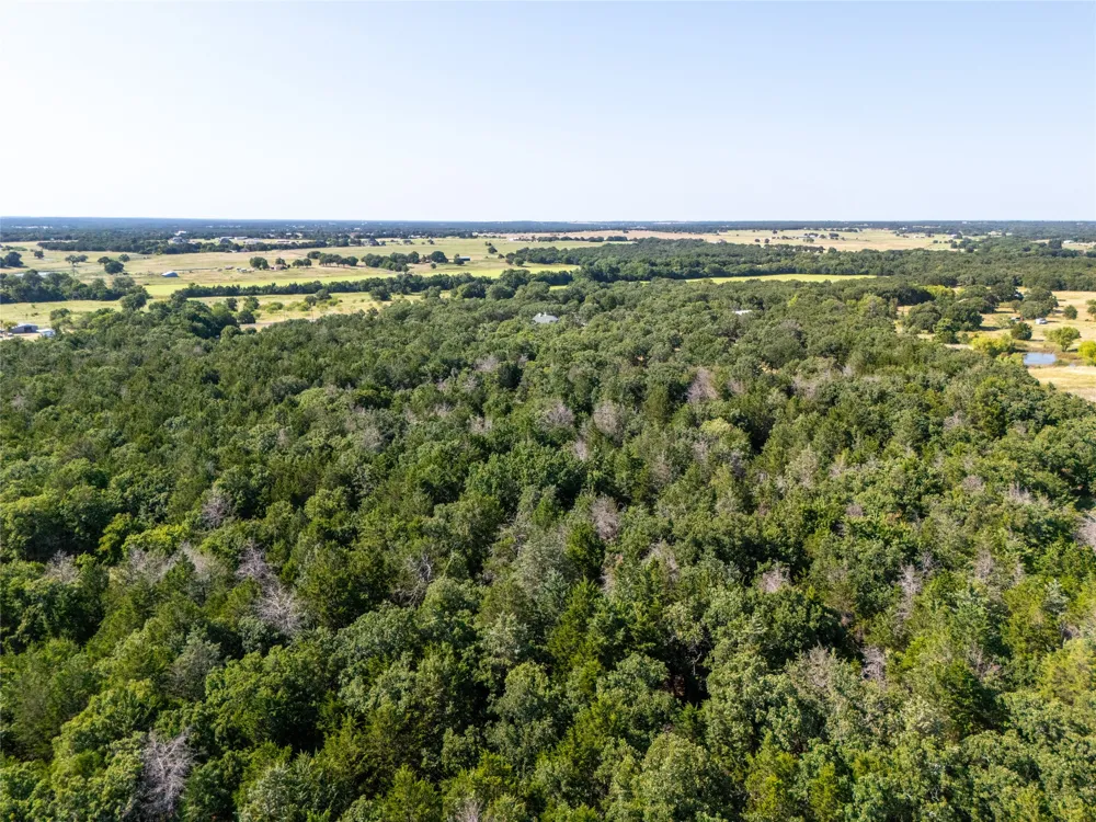 FM 1655 TRAIL Alvord, TX 76225