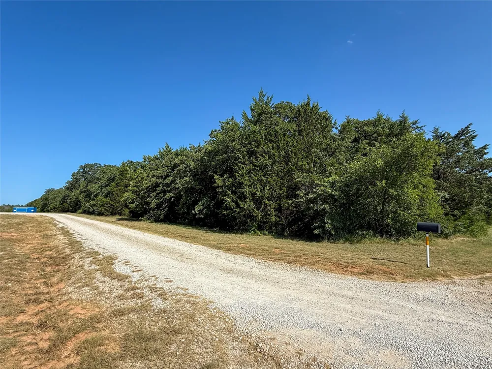 FM 1655 TRAIL Alvord, TX 76225