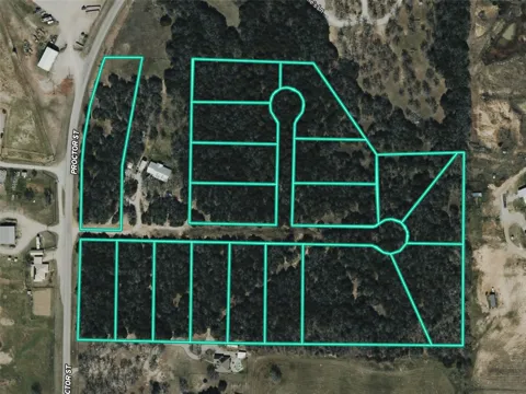 FM 1655 TRAIL