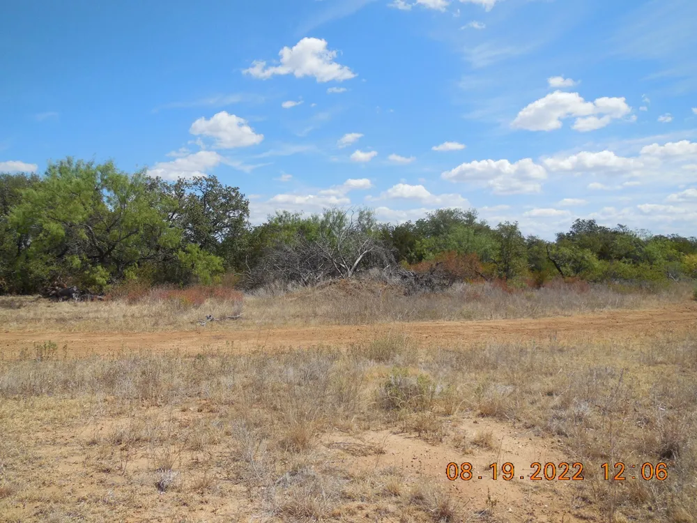 CR 136 Ranger, TX 76470