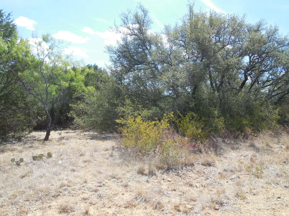 CR 136 Ranger, TX 76470