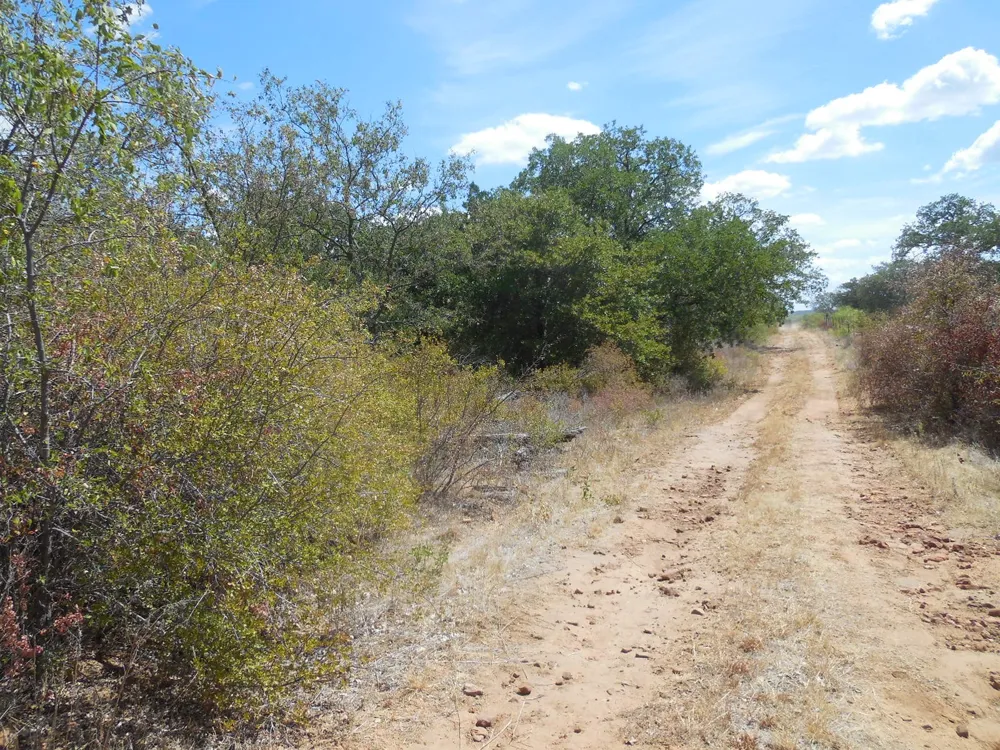 CR 136 Ranger, TX 76470