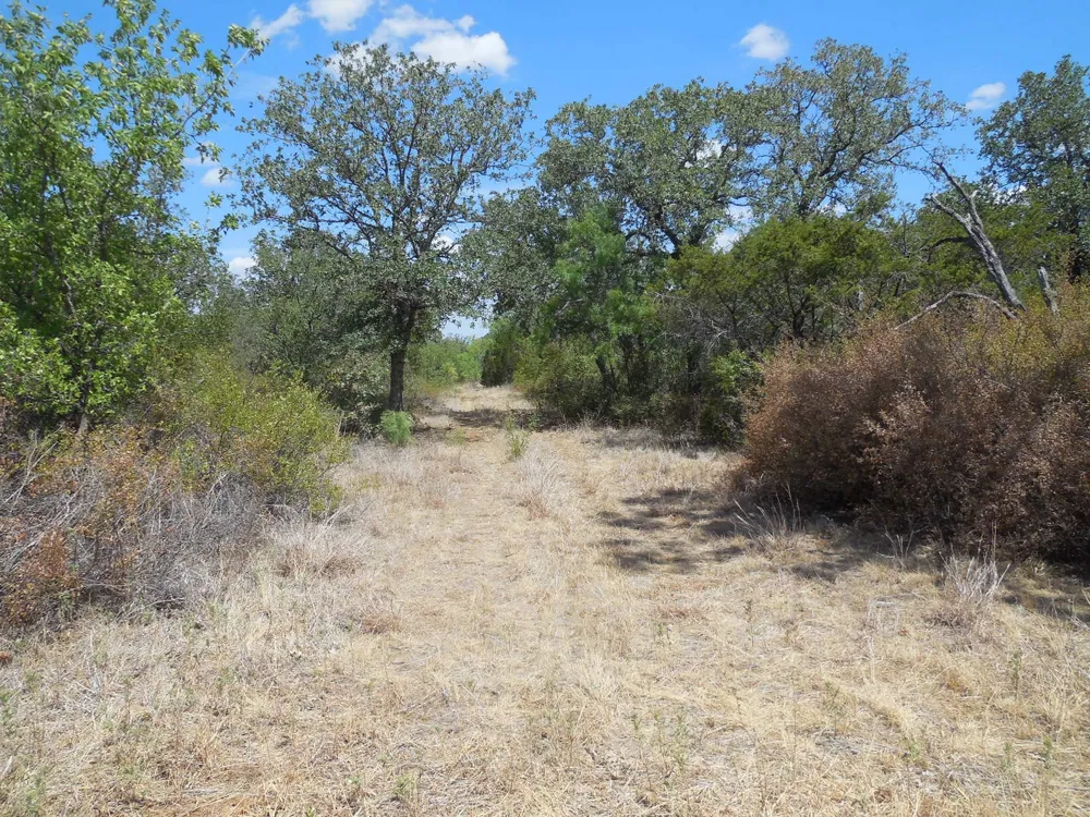 CR 136 Ranger, TX 76470