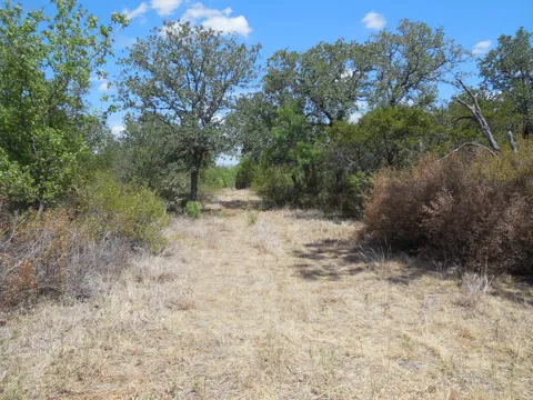 CR 136